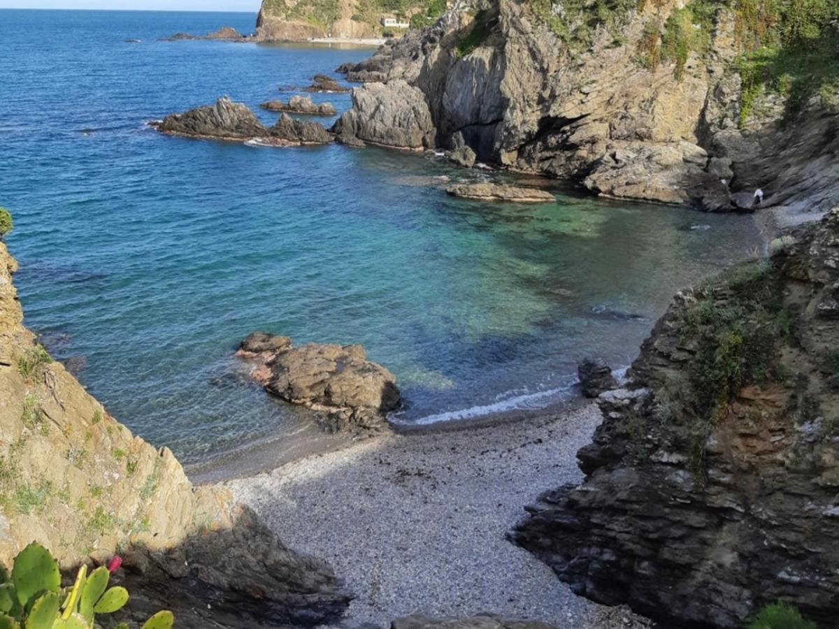 Appartement 4 Couchages A Argeles Plage, Proche Mer Et Commodites - Fr-1-732-62 ภายนอก รูปภาพ